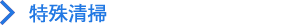 特殊清掃