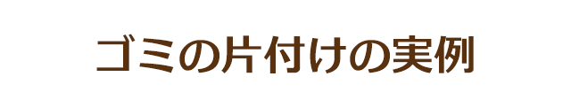 ゴミの片づけ実績紹介