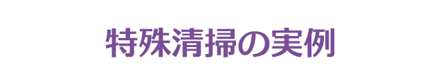特殊清掃実績紹介